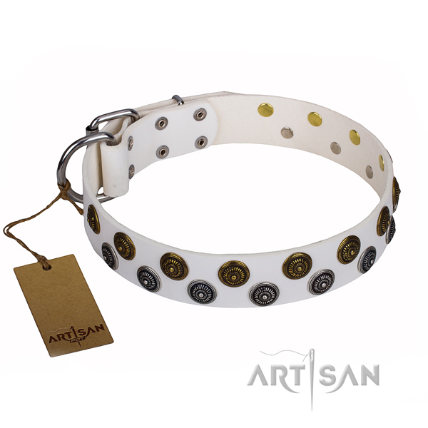 Unusual leather dog collar for daily use