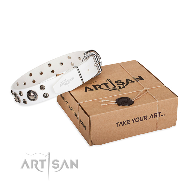 Stylish full grain leather dog collar for everyday use