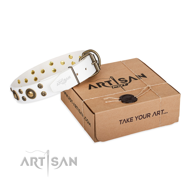 Full grain genuine leather dog collar with embellishments for everyday use
