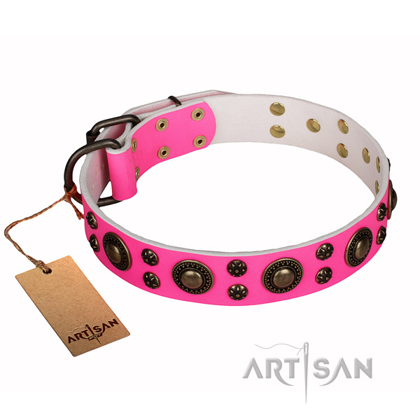 Everyday use full grain genuine leather collar with embellishments for your four-legged friend
