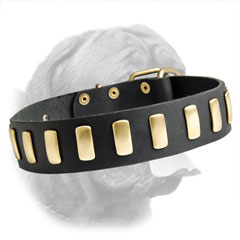 Wide Leather Collar with Plates for French Mastiff