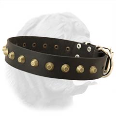 Brass Studs Decorated Full Grain Leather Collar for Dogue de Bordeaux