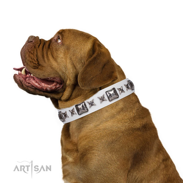 Trendy studded natural leather dog collar for comfortable wearing