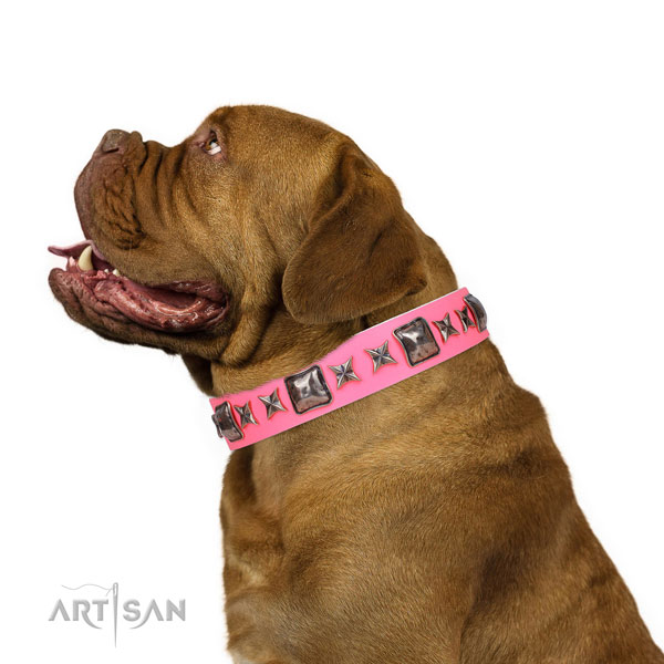 Exceptional studded genuine leather dog collar for comfortable wearing