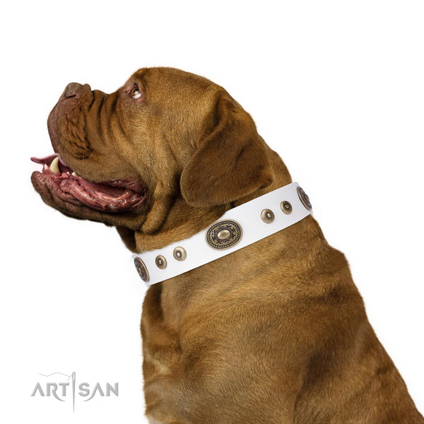 Amazing embellished natural leather dog collar for basic training
