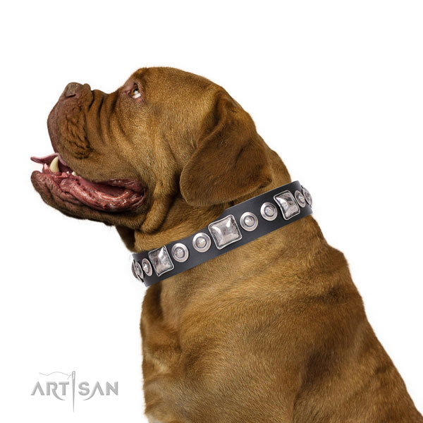Inimitable decorated natural leather dog collar for everyday walking