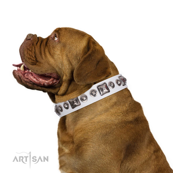 Extraordinary adorned genuine leather dog collar for walking