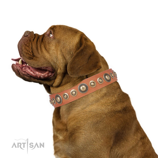 Corrosion proof buckle and D-ring on natural leather dog collar for stylish walking