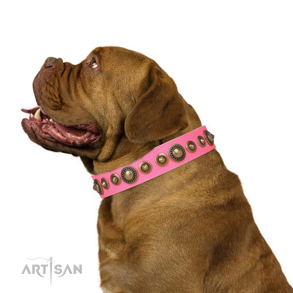 Rust-proof buckle and D-ring on genuine leather dog collar for everyday walking