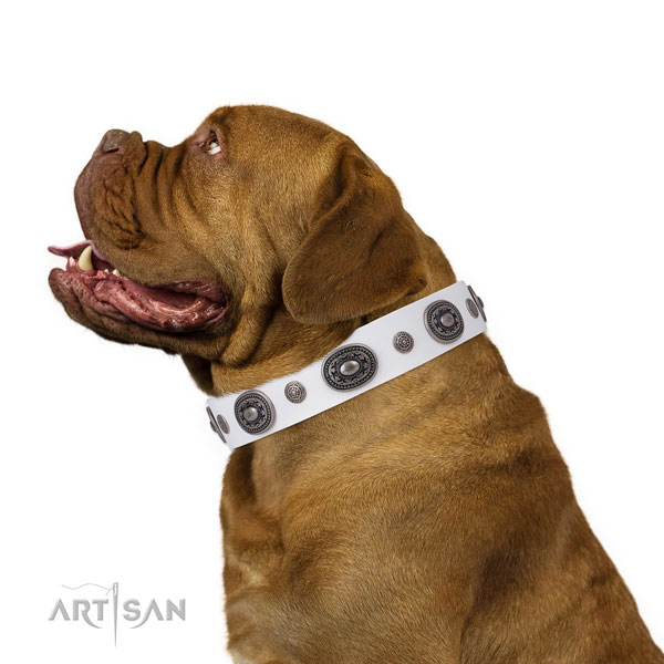 Leather dog collar with corrosion proof buckle and D-ring for comfy wearing