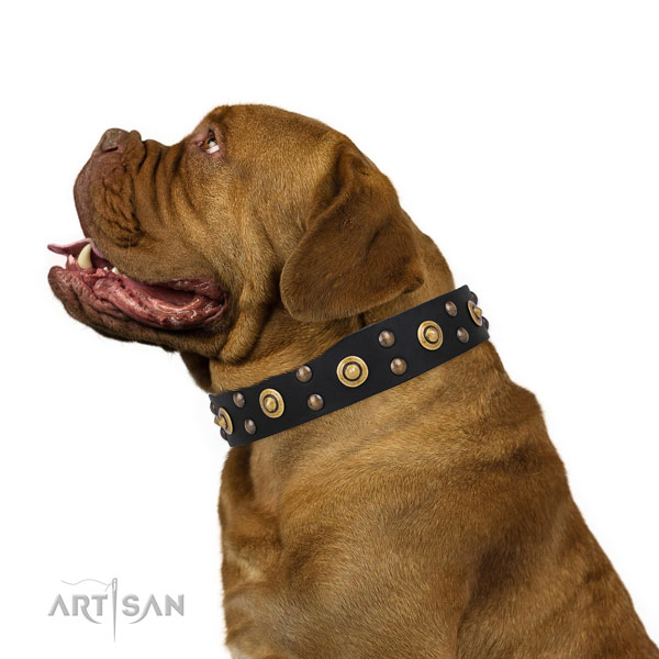 Comfortable wearing dog collar with top notch embellishments