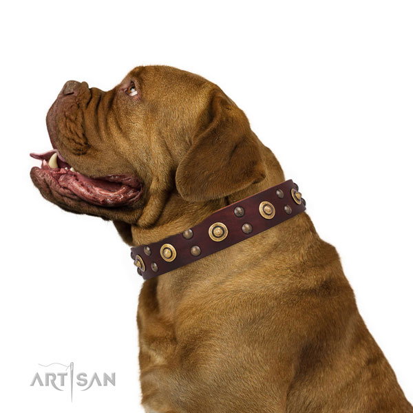 Walking dog collar with unusual decorations