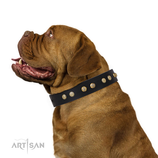 Inimitable adornments on fancy walking genuine leather dog collar