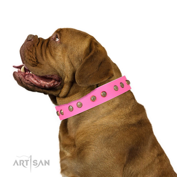 Trendy decorations on stylish walking natural genuine leather dog collar