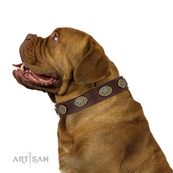 Top notch embellishments on comfortable wearing full grain natural leather dog collar