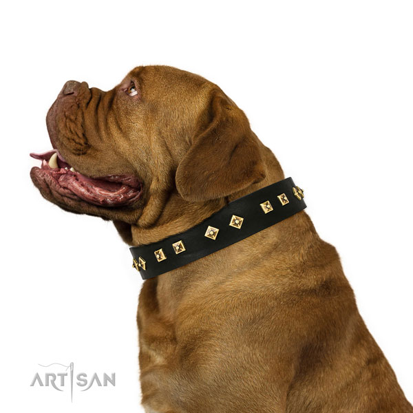 Stylish adornments on everyday walking full grain genuine leather dog collar