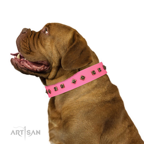 Extraordinary adornments on handy use dog collar