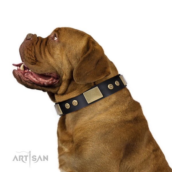 High quality daily walking dog collar of leather