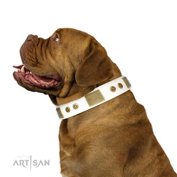 Reliable comfy wearing dog collar of natural leather