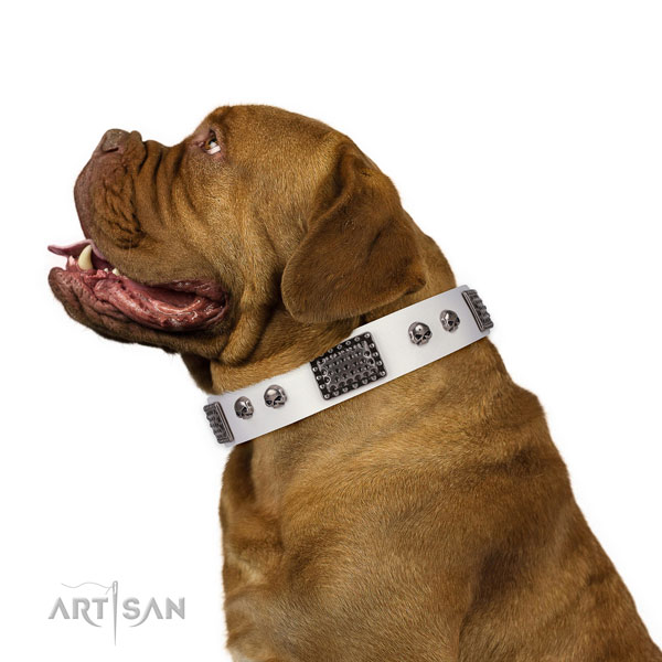 Impressive genuine leather collar for your beautiful four-legged friend