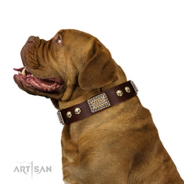 Reliable traditional buckle on leather dog collar for stylish walking