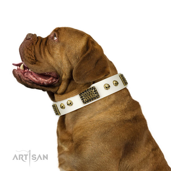 Rust resistant hardware on leather dog collar for handy use