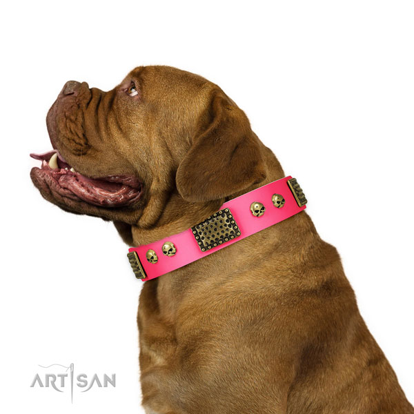 Rust resistant hardware on leather dog collar for fancy walking