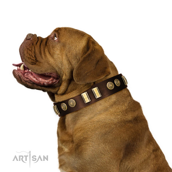 Durable hardware on genuine leather dog collar for comfortable wearing