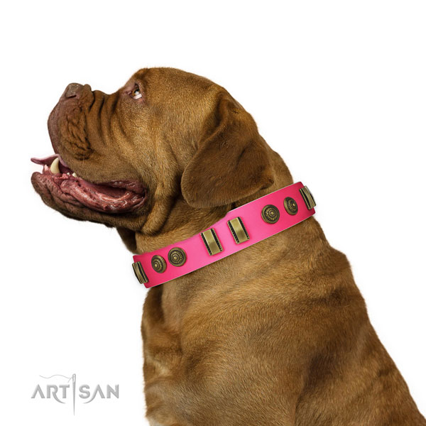 Stylish walking dog collar of natural leather with exquisite adornments
