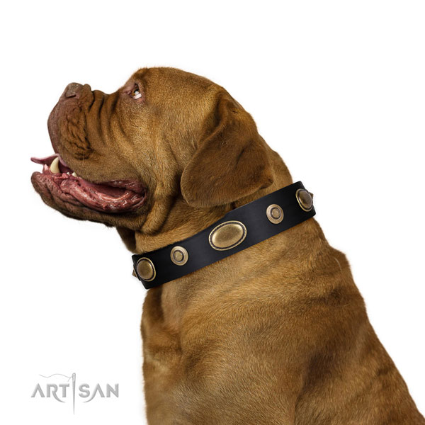 Easy wearing dog collar of genuine leather with stylish design adornments