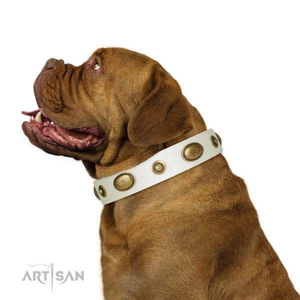 Comfortable wearing dog collar of leather with fashionable studs