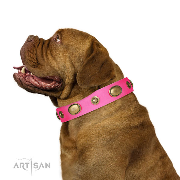 Basic training dog collar of genuine leather with stunning decorations