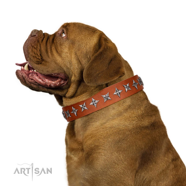 Durable full grain genuine leather dog collar with designer embellishments