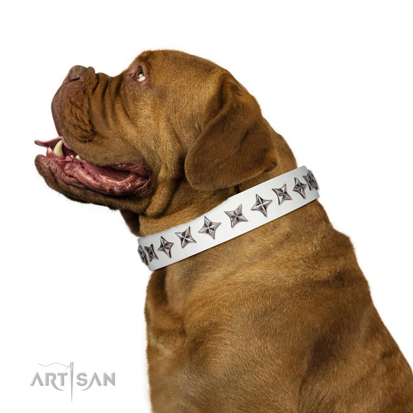 Top quality full grain leather dog collar with stunning decorations