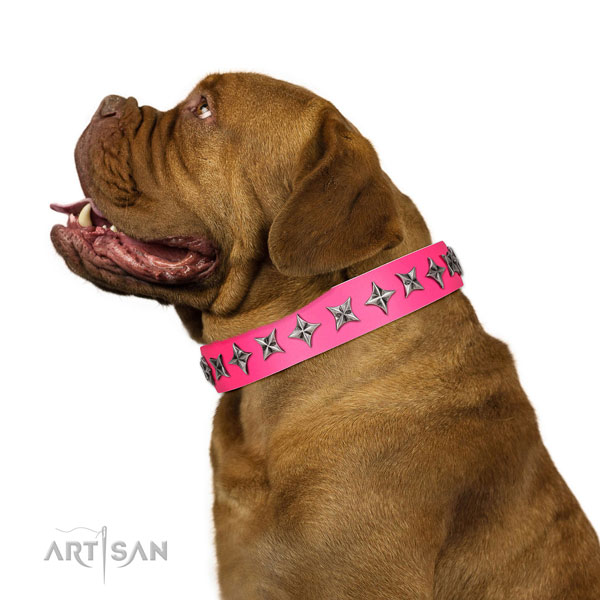 Top quality genuine leather dog collar with impressive studs