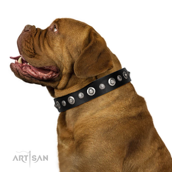 Finest quality full grain genuine leather dog collar with stylish adornments