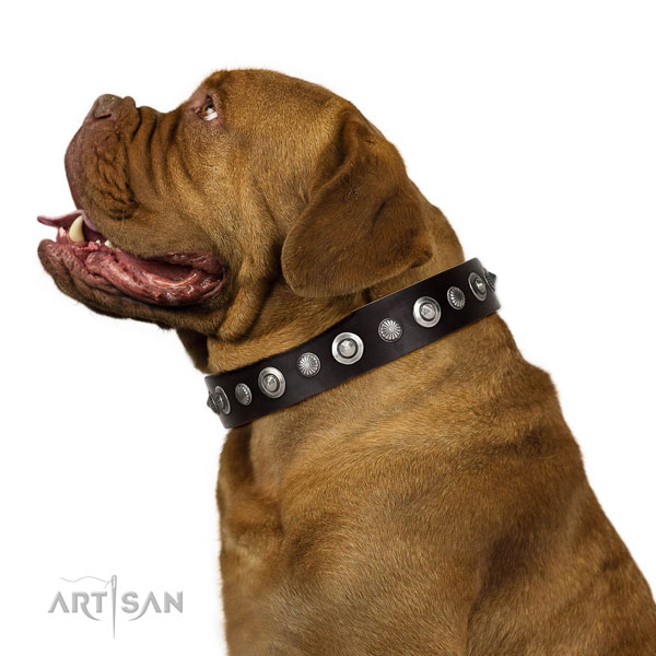 Durable leather dog collar with unique embellishments