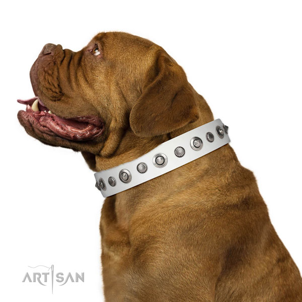 Full grain natural leather collar with durable traditional buckle for your stylish canine