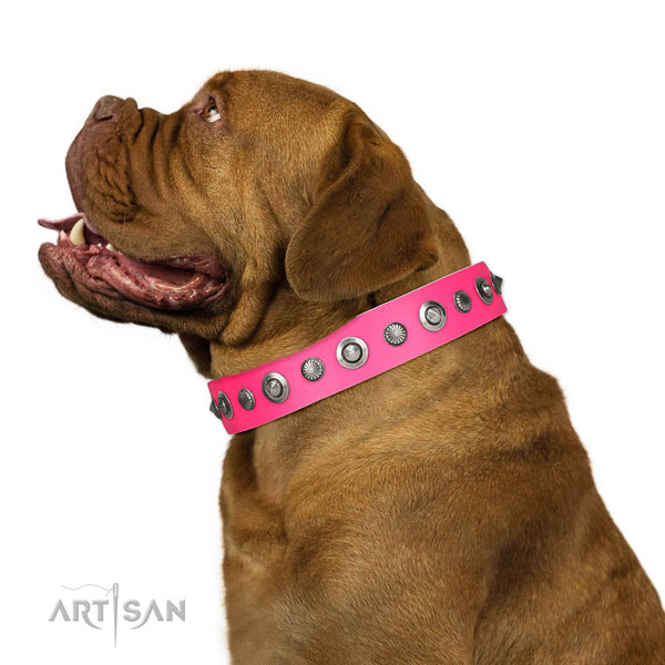 Full grain genuine leather collar with strong fittings for your handsome canine