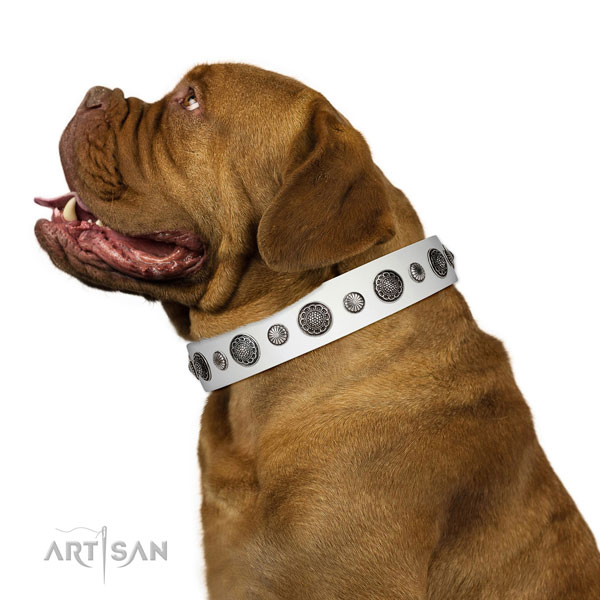 Significant leather dog collar with rust resistant D-ring