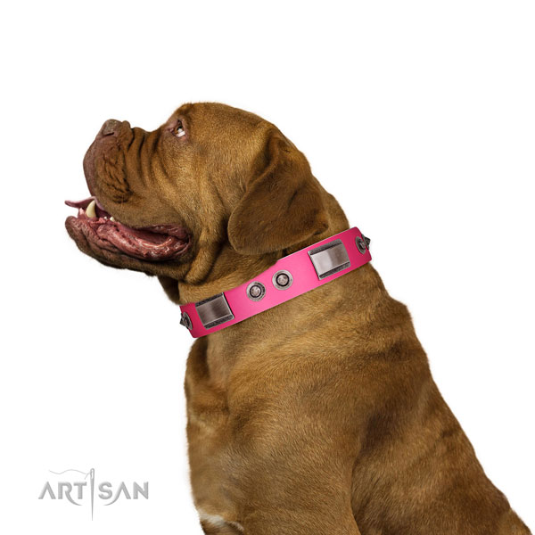 Trendy natural leather dog collar with adornments