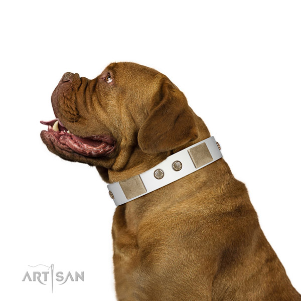 Rust resistant hardware on leather dog collar for handy use