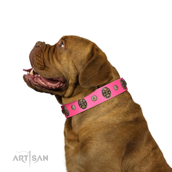 Rust resistant hardware on full grain genuine leather dog collar for fancy walking