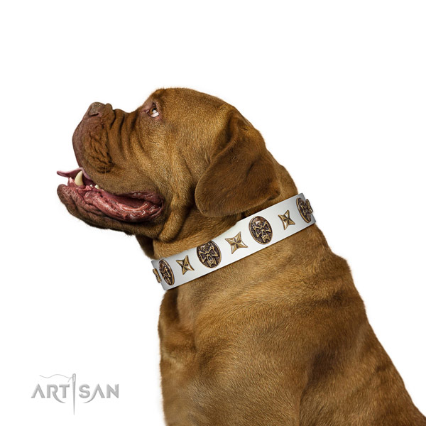 Unusual dog collar crafted for your handsome dog