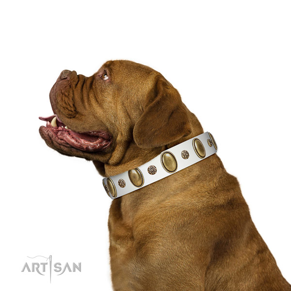 Walking quality genuine leather dog collar
