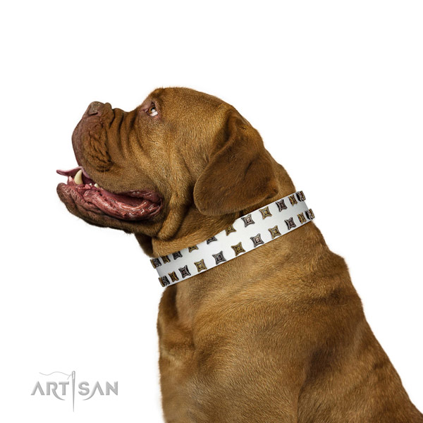 Best quality leather dog collar with embellishments for your doggie