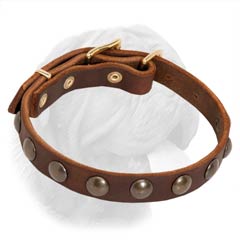 Brown leather dog collar