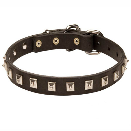 Genuine leather dog collar