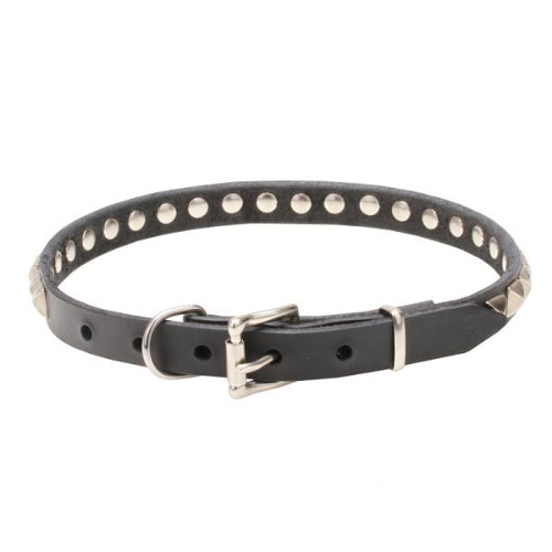 Excellent quality leather dog collar with chrome-covered fittings