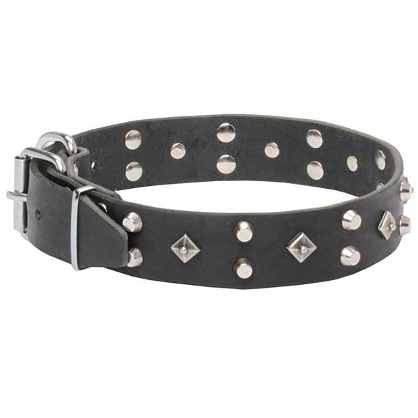 Genuine leather decorated dog collar